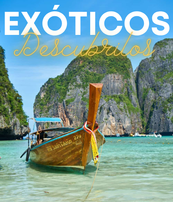 Exoticos